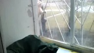 Spider-cat