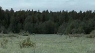 Tali-Ihantala 20O7 DVDRip DivX (wgrane) NAPISY.  PL