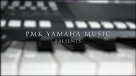 LAURA BRANIGAN - Self Control (Cover Yamaha PSR s775)
