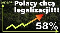 Polacy chcą legalizacji! | Marihuana na studiach | *420zł do wygrania* | #WeedWeek 35