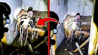 Gdyby Te Stworzenia Nie Zostały Sfilmowane Nikt By w To Nie Uwierzył