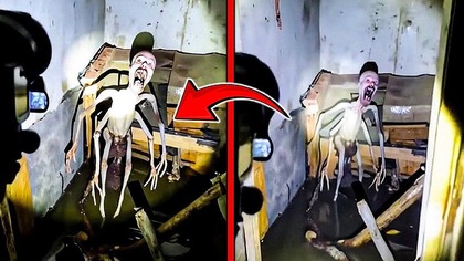 Gdyby Te Stworzenia Nie Zostały Sfilmowane Nikt By w To Nie Uwierzył