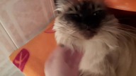 Kitku na pralce :-)
