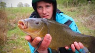 Wyprawa na prosiaki -  Liny na Feeder