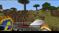 In the beta version, not only zombies would burn #game #minecraft #gaming #Short #Shorts