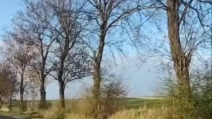 mężczyzna próbuje porozmawiać # true man