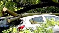 Drzewa zawaliły się na samochody. Akcja straży pożarnej