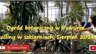 173.  Ogród botaniczny w Powsinie.  Rośliny w szklarniach Sierpień 2016r