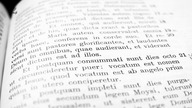 48 Biblijne konteksty, świętej Bożej Rodzicielki