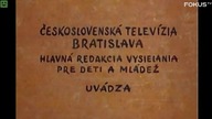 Sąsiedzi- Domek dla ptaków (Fokus TV)
