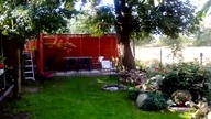 Garden kuRaż * Ayam Cemani i inne * DZIEŃ Z KURAMI 6