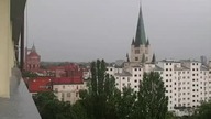 AleJebło. exe #Shorts