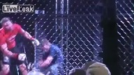 DOUBLE KNOCKOUT MMA