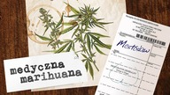 MEDYCZNA MARIHUANA: NA CO POMAGA? | Dr Marek Bachański - #Słowotok 8