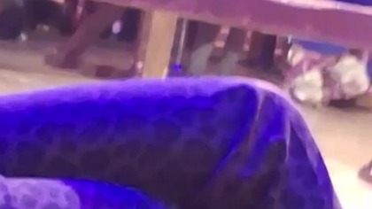 # Shorts Gala Walk Rycerskich część 4