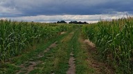 jesień
