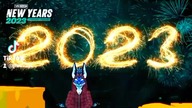 #sylwester#vrchat#piotrv2yt#vrchat2023#vrc#furry#vrchatfurry