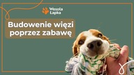Budowanie więzi z psem poprzez zabawę