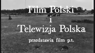 Komedia z pomyłek (1967)
