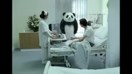 Panda Majteleheśla PRZEKLINA!