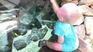 zoo ostrava Arkadiusz misiarz i cała moja trójka kochanych dzieci