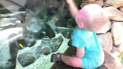 zoo ostrava Arkadiusz misiarz i cała moja trójka kochanych dzieci