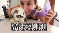 ŻULIK JEST WOLNY!