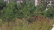 Abandoned Soviet-era military base #shorts #urbex