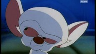 Pinky i Mózg S01E04 - Pinky i Mgła/Tam gdzie dotąd nie było żadnej myszy (LEKTOR)