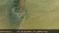 Pihont -fajka wodna