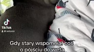 Nie mów do mnie.