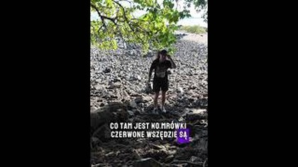 Cicho! Trwa nagranie  ile się człowiek nie poświęci, żeby złapać dobre ujęcie 