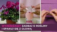 Czas na urlop! Jak zabezpieczyć swoje rośliny? Jak się spakować? Jak przechowywać pieniądze?