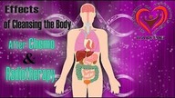 Effects of Cleansing the Body After Chemo and Radiotherapy.  Aliaksandr Haretski.