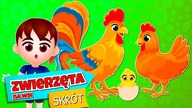 Zwierzęta i ich rodziny  Zwierzęta na wiejskim podwórku  Kazio i ZWIERZĘTA NA WSI / Skrót
