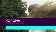 Korona - Czas na miłość 1080p