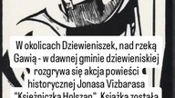 Dziewieniszki.  Księżiczka Holszan.  Książka.  Dieveniškės.  Alšėnų kunigaikštytė.  Knyga.