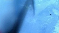 S02E05. Les. Stroud. Survivorman. Alaska. XviD. 720x512
