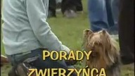 Dzieci