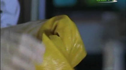 Czynnik. PSI. S04E15.pl. avi