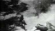 Randy Samotny jeździec 1934 lektor .pl western