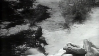 Randy Samotny jeździec 1934 lektor .pl western