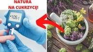 Te zioła wpływają na cukrzycę obniżając poziom cukru naturalnie! Sprawdź!