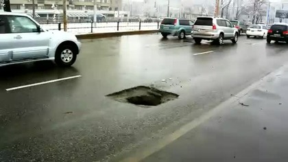 Niespodzianka na drodze