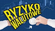 Ryzyko walutowe - jak uniknąć niepotrzebnych strat przy inwestowaniu w ETF?