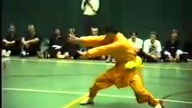 Pokaz Shaolin