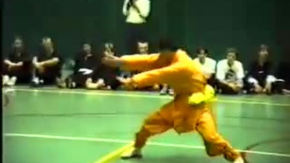 Pokaz Shaolin