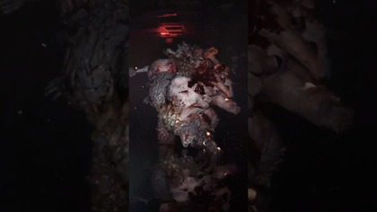 Disturbing Video Game Bosses: The Rat King