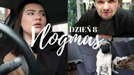 KTO IM DAŁ PRAWO JAZDY...  | VLOGMAS 8