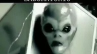 2021 REAL ALIEN VIDEO COMPILATION